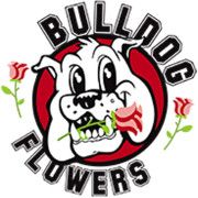 Product from Bulldog Flowers Product - Bulldog Flowers - United States