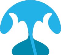 Product - Shenzhen Blovedream Technology Co., Ltd. - China