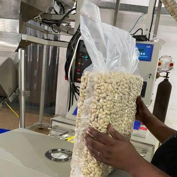 Premium Tanzanian Cashew Nuts – Direct from Origin for Global Buyers - VG Limited - Tanzania