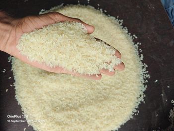 IR64 Parboiled Rice 5% Broken from MLT Foodstuff Trading LLC IR64 Parboiled Rice 5% Broken - MLT Foodstuff Trading LLC - United Arab Emirates