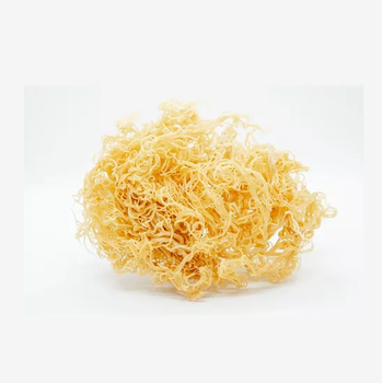 Certified Organic Sea Moss - Perfect for Supplements, Skincare, and Cooking -  CALIPSO POLSKA SP Z OO  - Poland