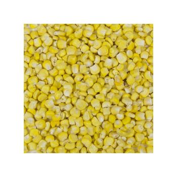 Premium grade white corn for human consumption and animal feed from HIGHPROFILE AGRICULTURE SERVICES LIMITED Premium grade white corn for human consumption and animal feed - HIGHPROFILE AGRICULTURE SERVICES LIMITED - Tanzania