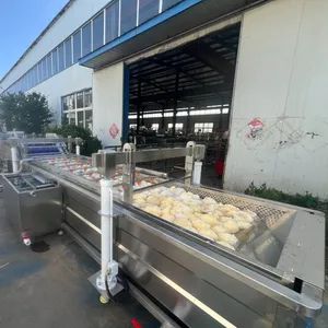 Apple Cleaning Machine and Fruit Cleaning Equipment Vegetable Cleaning Machine - Zhucheng Huazhu Machinery Co., Ltd - China