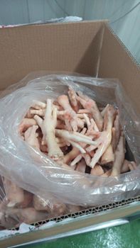 Chicken Feet Grade A Freshness Level Frozen Features No Artificial Flavors, No Preservatives, Organic, Without Colourants - Medici Trade International - Bulgaria