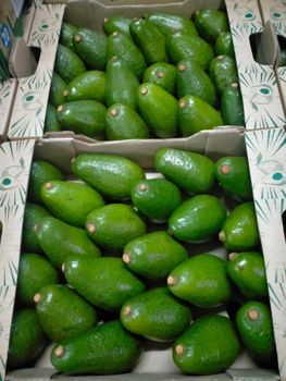 Avocado Form Whole Origin Kenya Texture Fresh Purity Pure And Natural Application Cooking Or Cosmetic Use Product Type Avocado Oil, Fresh - PURE MOON LIMITED - Kenya