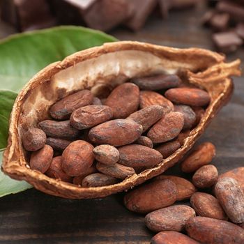 High Quality Cocoa Beans for Export | Fermented and Dried | 25kg/50kg Bags | France Supplier – product photo, Dried Cocoa Powder products found from trusted suppliers, wholesalers, manufacturers & exporters Listing