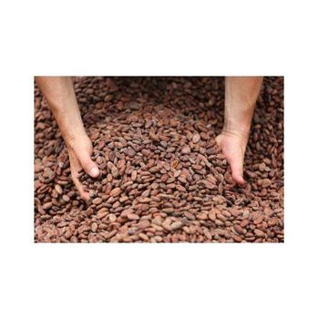 Cocoa beans for making dark chocolate milk chocolate and desserts Fine cocoa beans with consistent size and premium grading Cocoa beans for confectionery bakery and beverage industries Natural cocoa beans with no preservatives and high purity - SATTER FOOD AND BEVERAGE - Netherlands