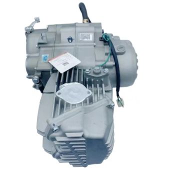 4 Stroke Single Cylinder W190cc Engine Assembly for Chinese Zongshen Motorcycle - Guangzhou Bawo Trading Co., Ltd. - China