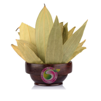 Bay Leaf -  Shubhlaxmi Industries  - India
