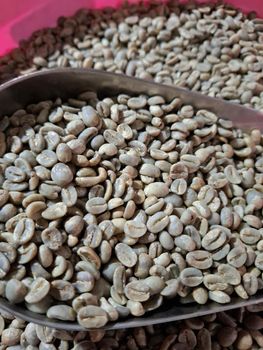 Arabica Green Coffee Bean - Origin Java, Indonesia, PT Harvest Nusa Trading, Lets Connect - PT. HARVEST NUSA TRADING - Indonesia