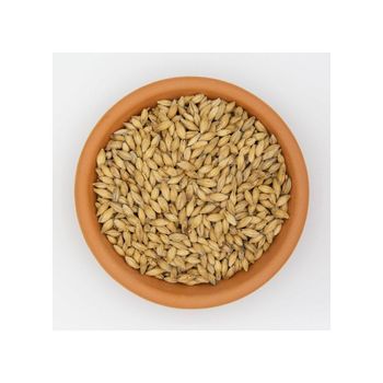 Factory Price Malted Barley Ready For Wholesale Distribution And Export - MASI TRADING GMBH - Germany