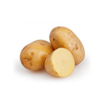 New season fresh sweet potatoes wholesale HOT Sale/Potato In Bulk At Cheap Price - CHHC AGR0-CHEMICAL PRODUCTS WHOLESALING - Philippines