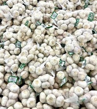 Garlic - Investiss dz - Algeria