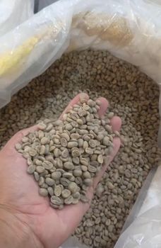 Javanese Robusta and Arabica Coffee from Lana Terra Javanese Robusta and Arabica Coffee – product photo, Coffee & Coffee Bean products found from trusted suppliers, wholesalers, manufacturers & exporters Listing