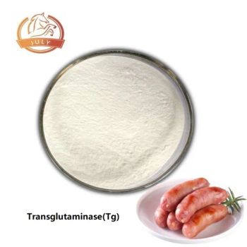 Transglutaminase (TG) for Hot Dogs and Sausages Food Grade Enzyme - Hefei July Biotechnology Co., Ltd. - China