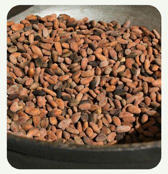 Uganda cocoa beans. Regular : Minus GBP 100 from London ICE spot prices per ton. Organic cocoa  beans + 500 GBP - Venkatesh - United Arab Emirates
