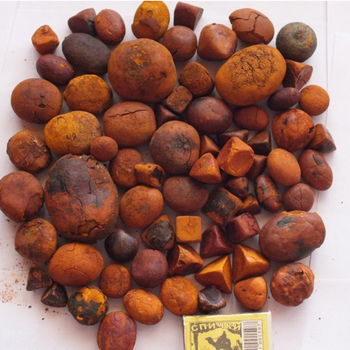 Ox Gallstones Cattle Gallstones Cow Gallstones, Natural Ox Cattle/Cow Gallstones - VERTEX TRADING LIMITED - United Kingdom