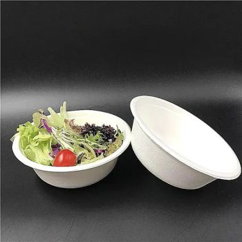 24oz 32oz Biodegradable Pet Lid Paper Salad Soup Bowl Compostable Disposable Tableware for Party Food Container Packaging - Anhui Herten Environmental Protection Products Co., Ltd. - China