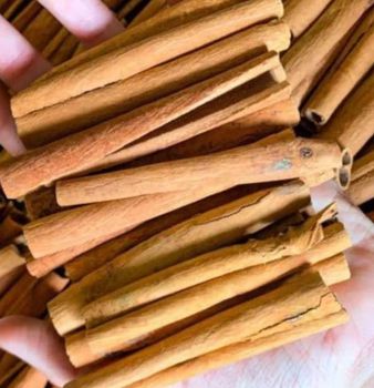 Cinnamon - VLZ ELITE EXPORTS LLP - India