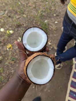 Semi husked fresh coconut from Tanzania – product photo, Fresh Coconut Water products found from trusted suppliers, wholesalers, manufacturers & exporters Listing