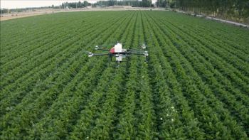 22L Agriculture Professional Multi-Functional Agricultural Sprayers Drone for Farmers Use Crop Pesticide Spraying Liquid Fertilizer - Shandong Aolan Drone Science and Technology Co., Ltd. - China
