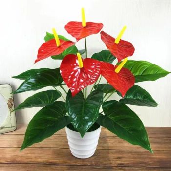 Wholesale High Quality Artificial Midori Anthurium Plant Bonsai Anthuriom in Bangkok - Guangzhou Konda Import & Export Co., Ltd - China