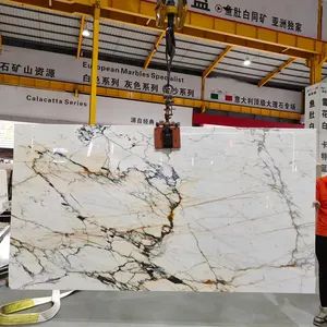 Italy Calacatta Paonazzo Natural Stone Furniture Stone Marble Tile/Slab/Countertops - yunfu meishida Stone Co., Ltd - China