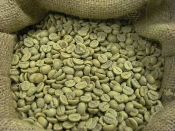 coffee beans for sale from W&E HOLDING BV coffee beans for sale - W&E HOLDING BV - Netherlands