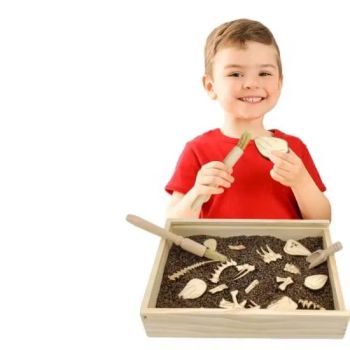 Wholesale Dinosaur Excavation Fossil Dino Skeletons Archaeology Science Dig Kits Toys - GOOD SELLER CO., LTD - China