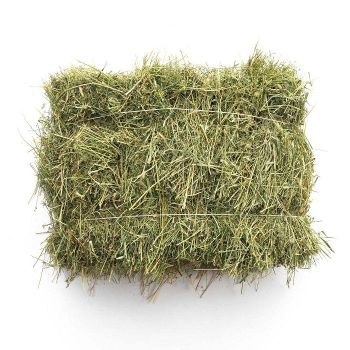 Hot Selling Custom Made Timothy Hay Best Quality Grade Fast Shipping Wholesale Alfalfa Hay Bag Cheap for Horse from TRADECENTRIC LLC Hot Selling Custom Made Timothy Hay Best Quality Grade Fast Shipping Wholesale Alfalfa Hay Bag Cheap for Horse - TRADECENTRIC LLC - United States