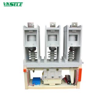 12kv 250A Ckg4 Series AC High Voltage Vacuum Contactor - Zhejiang Weikesen Power Technology Co., Ltd - China