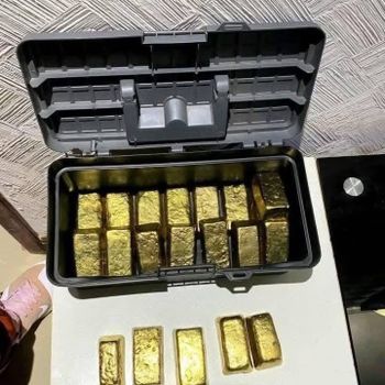 Gold bars from Treading Experts Malaga S.L. MEMBER OF HARVEST TRADE GROUP Gold bars - Treading Experts Malaga S.L. MEMBER OF HARVEST TRADE GROUP - Netherlands