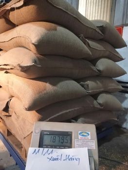 Coffee beans – product photo, Green Beans Coffee products found from trusted suppliers, wholesalers, manufacturers & exporters Listing