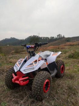 Karts Electric for Electric ATV Quad Bike Sports ATV Quad Kids ATV Electric Scooter 500cc Go-Karts Gas Adults Engines - Hangzhou Longwin Industry Limited - China