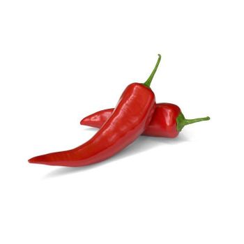 Hot Selling Dried Red Pepper SHU 30000 Red Hot Spicy Devil Chili Pepper Seasoning Whole Dried Chillies Grade a Spice Wholesale Hot Selling Dried Red Pepper SHU 30000 Red Hot Spicy Devil Chili Pepper Seasoning Whole Dried Chillies Grade a Spice Wholesale - GLOBOTO TRADE BRASIL LTDA - Brazil