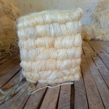 Cheap Sales Of Quality Sisal Fibre Sisal Hemp Natural UG 100% Natural Sisal Fiber bulk price / High quality sisal fiber Grade Sisal Fiber for sell at cheap prices from wood traders Cheap Sales Of Quality Sisal Fibre Sisal Hemp Natural UG 100% Natural Sisal Fiber bulk price / High quality sisal fiber Grade Sisal Fiber for sell at cheap prices - wood traders - Poland