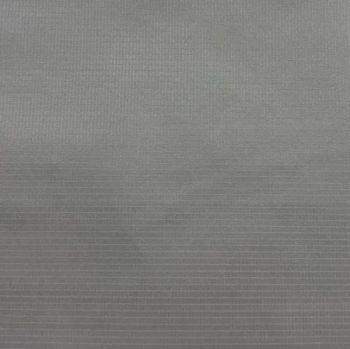 100% Nylon 20d Ripstop Waterproof TPU Membrane Tricot Lightweight Fabric for Raincoat Jacket Sportswear - XIAMEN UPWARD TEXTILE CO., LTD. - China