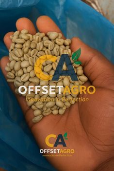 ARABICA COFFEE - OFFSET AGRO SARL - Cameroon