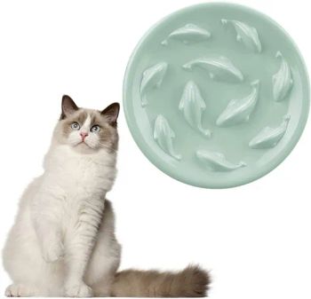 Pet Slow Feeder Anti-Choking Anti-Slip Feeding Bowl - Ningbo General Union Co., Ltd - China