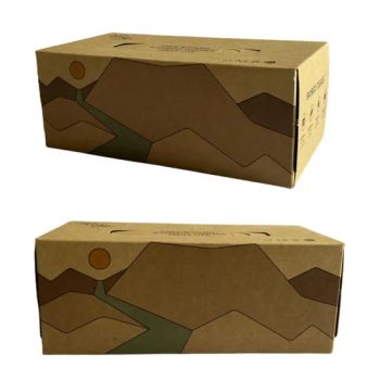 Bamboo Pulp Facial Tissues Box - Ultra Soft, Natural Unbleached, Tree-Free & Eco-Friendly - Chengdu Qingya Paper Industries Co., Ltd - China