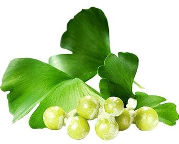 24% 6% Ginkgo Flavonoids light yellow powder Ginkgo extract manufacturing supplement from india good for health - SV AGROFOOD - India