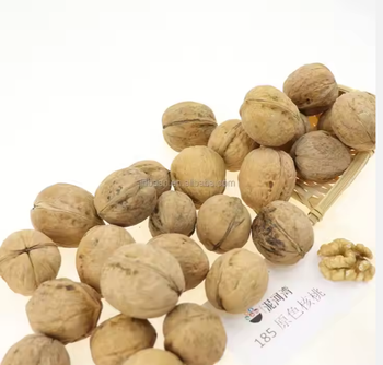 Walnuts – Light Halves, Quarters & In-Shell Grade A Packaging bag Shelf Life Long Processing Method Cold Storage And Hygienic Handling - TRADE NEPAL LLC - United States