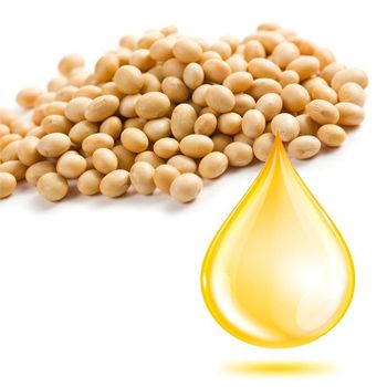 Refined Soybean Oil (RBD) – Food Grade, Bulk Supply from Trapani Global Trade B.V. Refined Soybean Oil (RBD) – Food Grade, Bulk Supply - Trapani Global Trade B.V. - United States