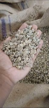 Arabica Coffee - NJRH VENTURES PRIVATE LIMITED - India