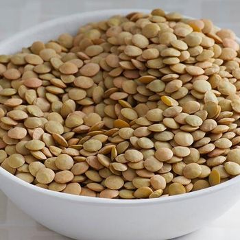 Natural Green Lentils Raw Whole Seeds Clean Fresh Premium Quality High Protein Perfect For Healthy Meals Cooking And Industrial Food Use Buy Today Fast Delivery Premium Quality Wholesale from wood traders Natural Green Lentils Raw Whole Seeds Clean Fresh Premium Quality High Protein Perfect For Healthy Meals Cooking And Industrial Food Use Buy Today Fast Delivery Premium Quality Wholesale - wood traders - Poland