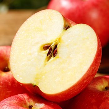 Class 1 Fuji Apple for sale - NINE FRUITS EXPORTS (PTY) LTD - South Africa