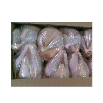 Frozen Whole Skinless Chicken, Bulk Packaging, Wholesale - N.G westen holding B.V - Netherlands