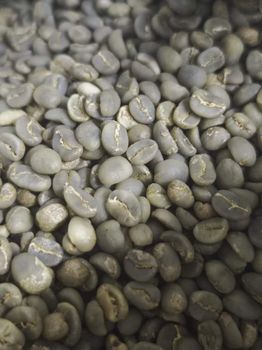 Luwak Coffee Arabica Aroma Rich Organic No Body Smooth Acidity Balanced Decaffeinated No Bean Type Arabica Coffee Variety Arabica - PT. Najah Sejahtera Production - Indonesia