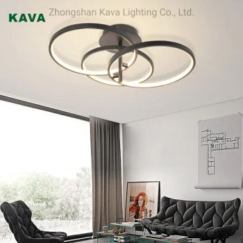 Indoor Lighting Furniture Home Decoration Energy Saving Lamp Home Interior Lighting 36W Matte Black LED Lights - Zhongshan Kava Lighting Co., Ltd. - China