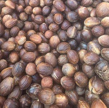 Nutmeg with Shell - Rempah Favorit Indonesia - Indonesia